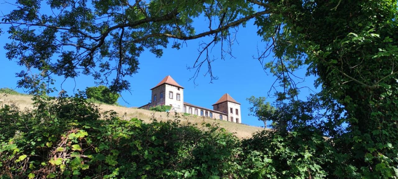Chateau De Gorze Germolles-sur-Grosne Exterior photo